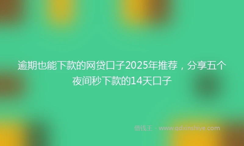 逾期也能下款的网贷口子2025年推荐，分享五个夜间秒下款的14天口子