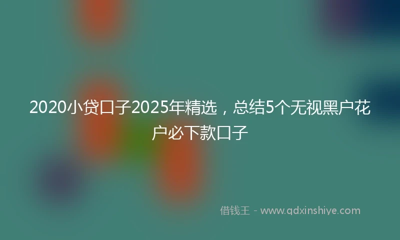 2020小贷口子2025年精选，总结5个无视黑户花户必下款口子