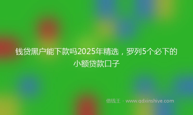 钱贷黑户能下款吗2025年精选，罗列5个必下的小额贷款口子