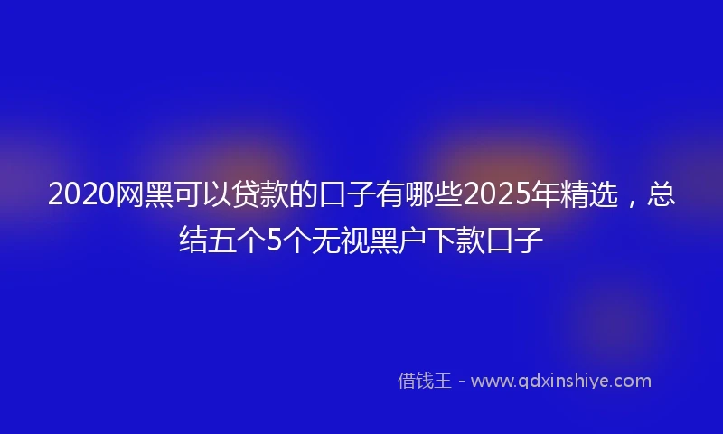 2020网黑可以贷款的口子有哪些2025年精选，总结五个5个无视黑户下款口子