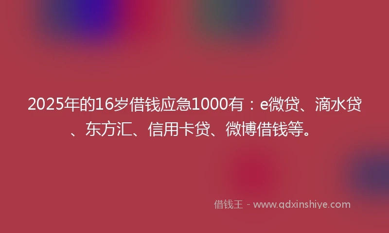 2025年的16岁借钱应急1000有：e微贷、滴水贷、东方汇、信用卡贷、微博借钱等。