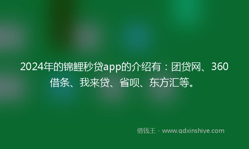 2024年的锦鲤秒贷app的介绍有：团贷网、360借条、我来贷、省呗、东方汇等。