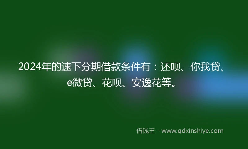 2024年的速下分期借款条件有：还呗、你我贷、e微贷、花呗、安逸花等。