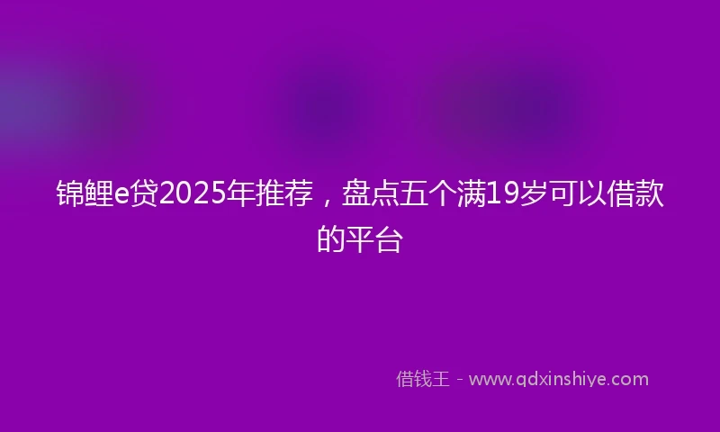 锦鲤e贷2025年推荐，盘点五个满19岁可以借款的平台