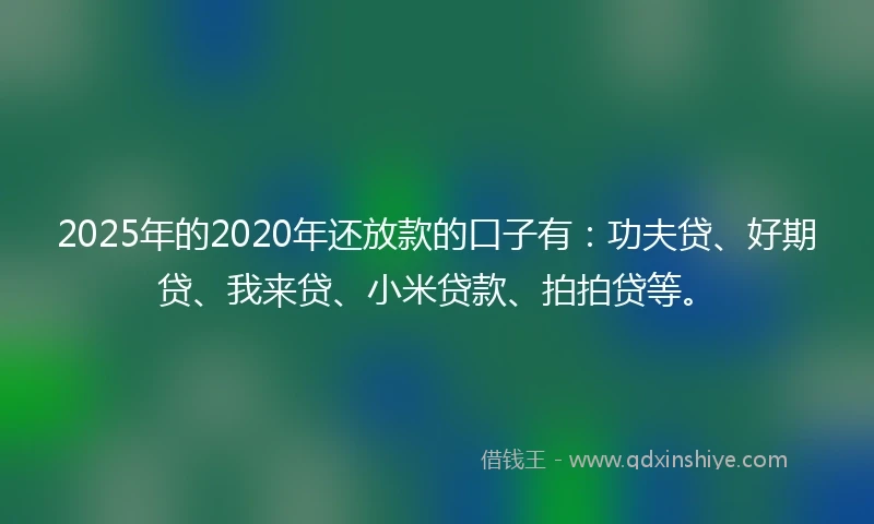 2025年的2020年还放款的口子有：功夫贷、好期贷、我来贷、小米贷款、拍拍贷等。
