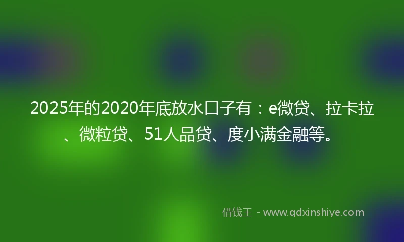 2025年的2020年底放水口子有：e微贷、拉卡拉、微粒贷、51人品贷、度小满金融等。