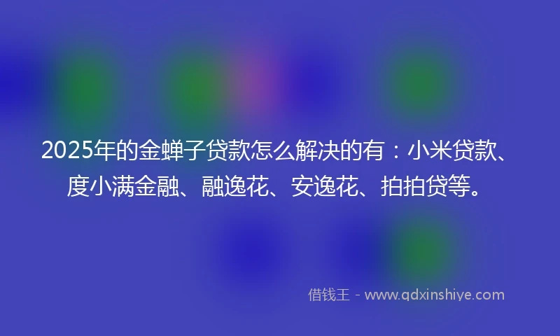 2025年的金蝉子贷款怎么解决的有：小米贷款、度小满金融、融逸花、安逸花、拍拍贷等。