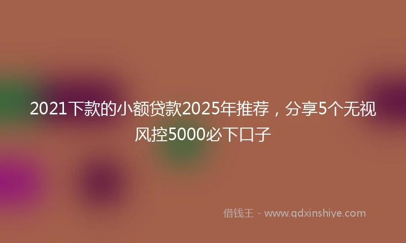 2021下款的小额贷款2025年推荐，分享5个无视风控5000必下口子