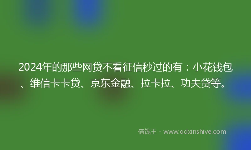 2024年的那些网贷不看征信秒过的有：小花钱包、维信卡卡贷、京东金融、拉卡拉、功夫贷等。