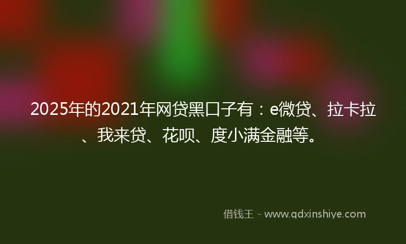 2025年的2021年网贷黑口子有：e微贷、拉卡拉、我来贷、花呗、度小满金融等。