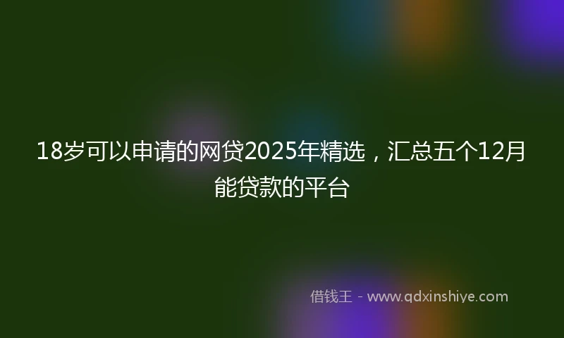 18岁可以申请的网贷2025年精选，汇总五个12月能贷款的平台