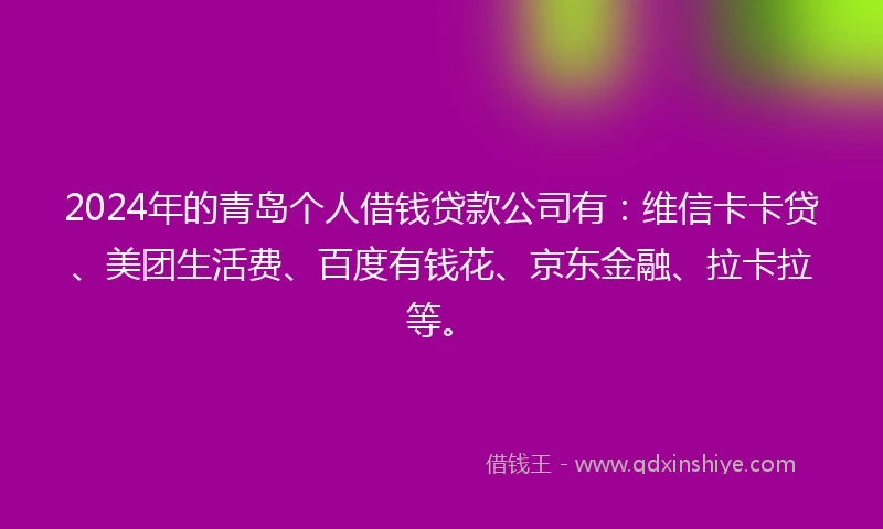 2024年的青岛个人借钱贷款公司有：维信卡卡贷、美团生活费、百度有钱花、京东金融、拉卡拉等。