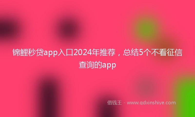 锦鲤秒贷app入口2024年推荐，总结5个不看征信查询的app