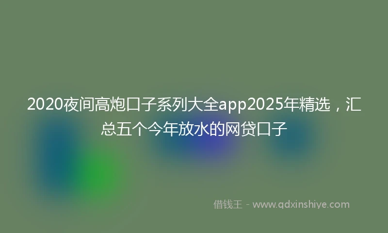 2020夜间高炮口子系列大全app2025年精选，汇总五个今年放水的网贷口子