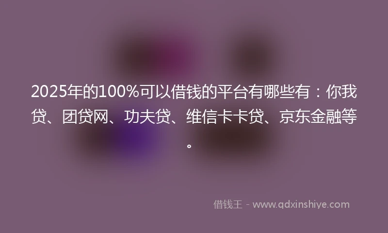 2025年的100%可以借钱的平台有哪些有：你我贷、团贷网、功夫贷、维信卡卡贷、京东金融等。