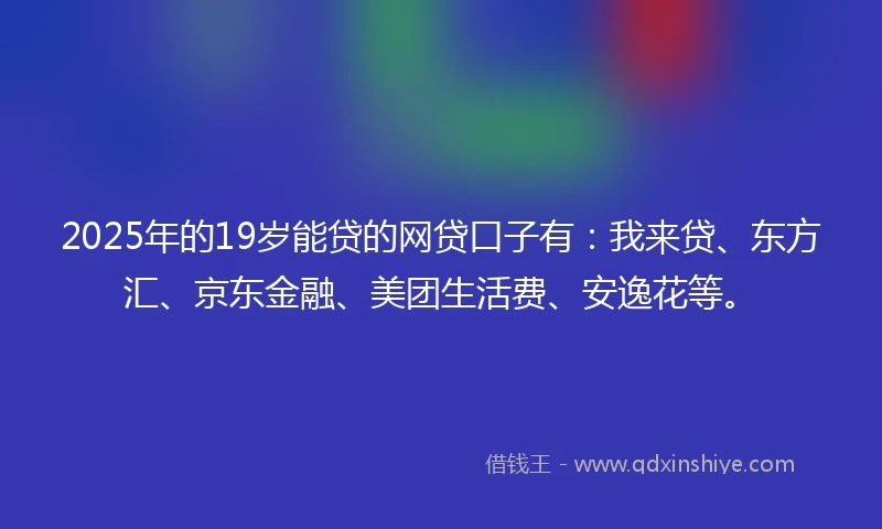 2025年的19岁能贷的网贷口子有：我来贷、东方汇、京东金融、美团生活费、安逸花等。