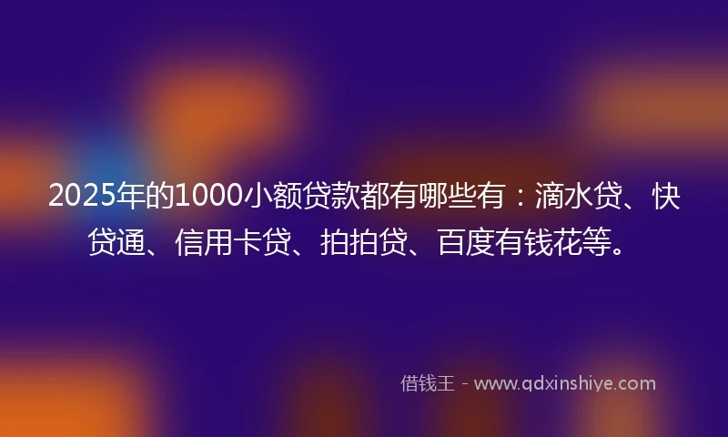 2025年的1000小额贷款都有哪些有：滴水贷、快贷通、信用卡贷、拍拍贷、百度有钱花等。