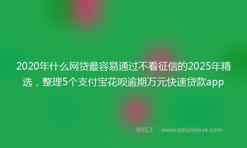 2020年什么网贷最容易通过不看征信的2025年精选，整理5个支付宝花呗逾期万元快速贷款app