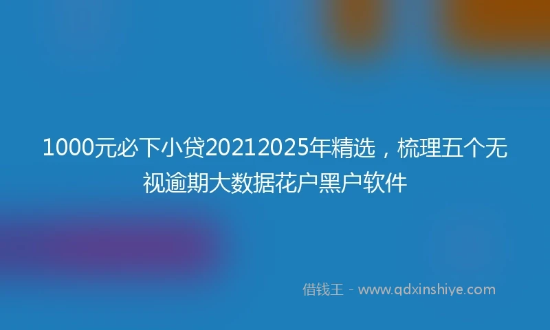 1000元必下小贷20212025年精选，梳理五个无视逾期大数据花户黑户软件
