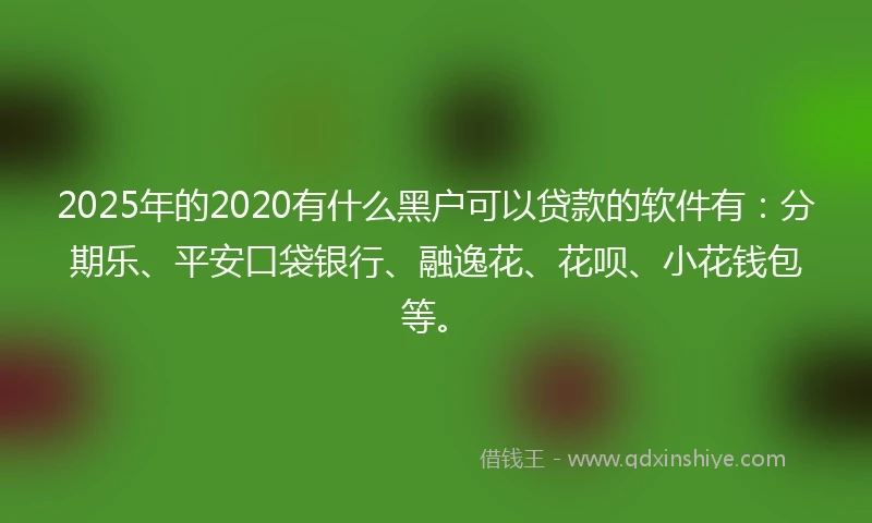 2025年的2020有什么黑户可以贷款的软件有：分期乐、平安口袋银行、融逸花、花呗、小花钱包等。