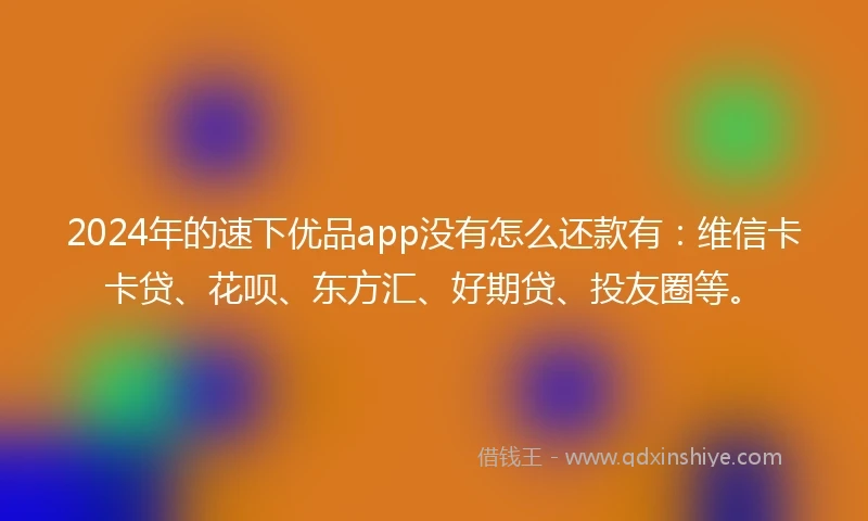 2024年的速下优品app没有怎么还款有：维信卡卡贷、花呗、东方汇、好期贷、投友圈等。
