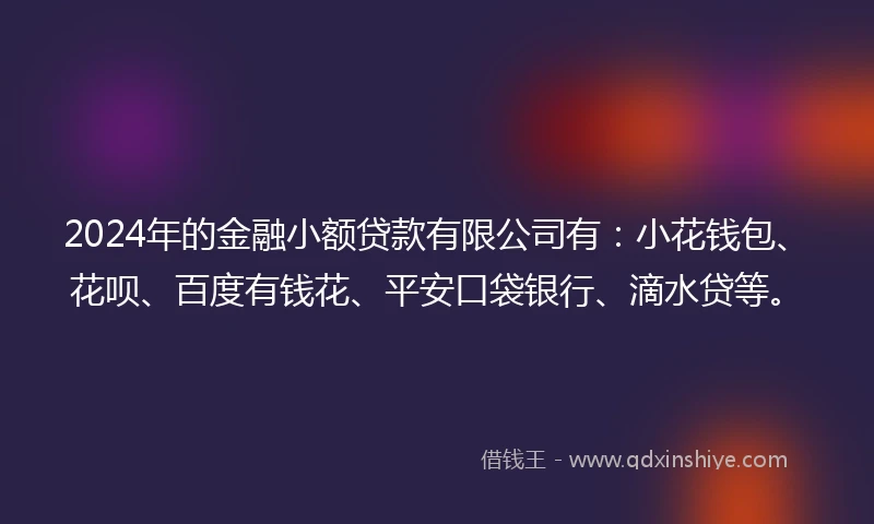 2024年的金融小额贷款有限公司有：小花钱包、花呗、百度有钱花、平安口袋银行、滴水贷等。