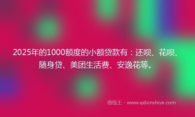 2025年的1000额度的小额贷款有：还呗、花呗、随身贷、美团生活费、安逸花等。