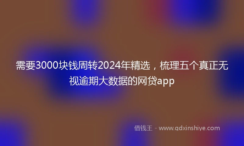 需要3000块钱周转2024年精选，梳理五个真正无视逾期大数据的网贷app