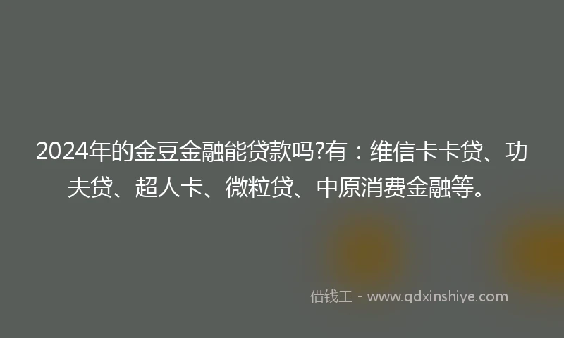 2024年的金豆金融能贷款吗?有：维信卡卡贷、功夫贷、超人卡、微粒贷、中原消费金融等。