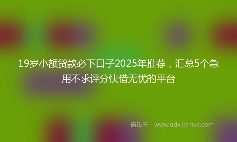 19岁小额贷款必下口子2025年推荐，汇总5个急用不求评分快借无忧的平台