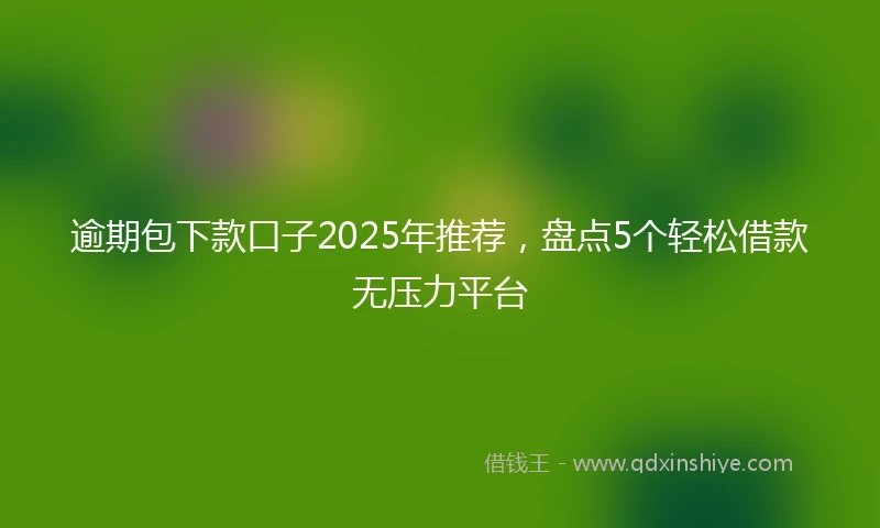 逾期包下款口子2025年推荐，盘点5个轻松借款无压力平台