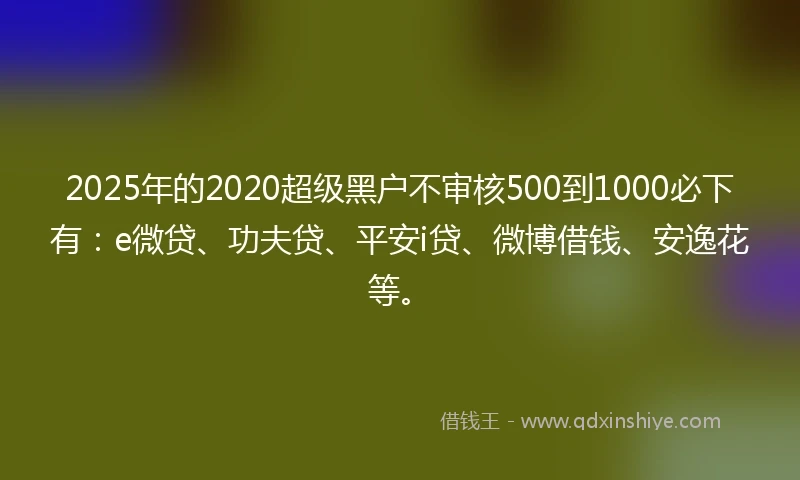 2025年的2020超级黑户不审核500到1000必下有：e微贷、功夫贷、平安i贷、微博借钱、安逸花等。