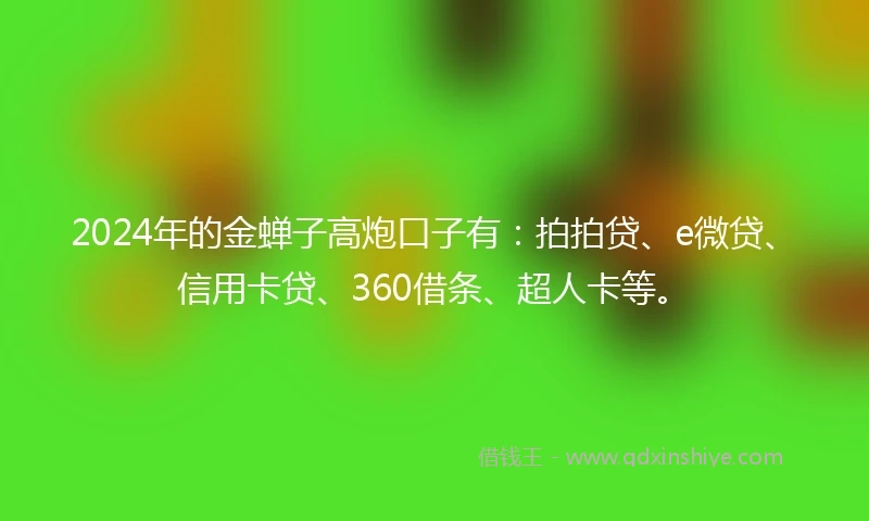 2024年的金蝉子高炮口子有：拍拍贷、e微贷、信用卡贷、360借条、超人卡等。