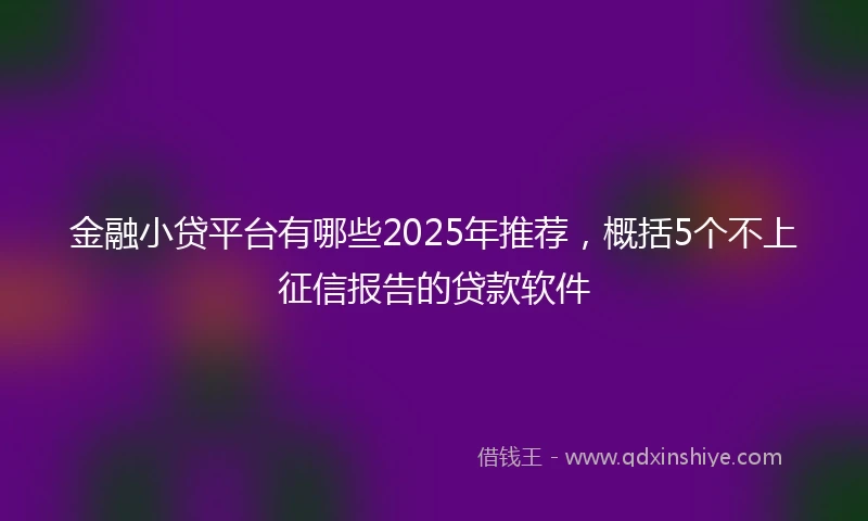 金融小贷平台有哪些2025年推荐，概括5个不上征信报告的贷款软件