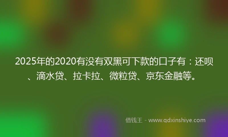 2025年的2020有没有双黑可下款的口子有：还呗、滴水贷、拉卡拉、微粒贷、京东金融等。