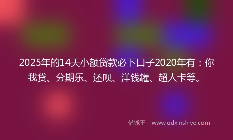 2025年的14天小额贷款必下口子2020年有：你我贷、分期乐、还呗、洋钱罐、超人卡等。