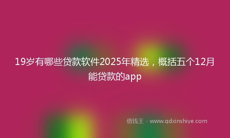 19岁有哪些贷款软件2025年精选，概括五个12月能贷款的app