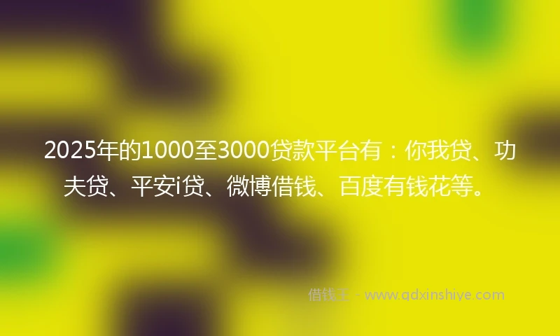 2025年的1000至3000贷款平台有：你我贷、功夫贷、平安i贷、微博借钱、百度有钱花等。