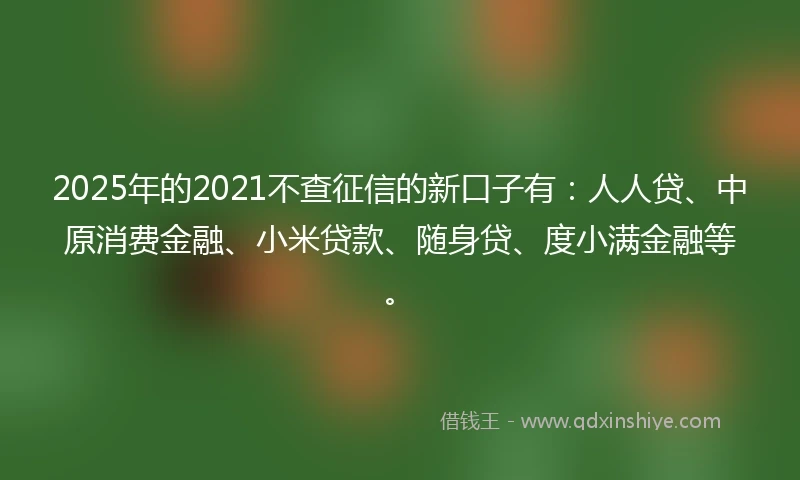2025年的2021不查征信的新口子有：人人贷、中原消费金融、小米贷款、随身贷、度小满金融等。