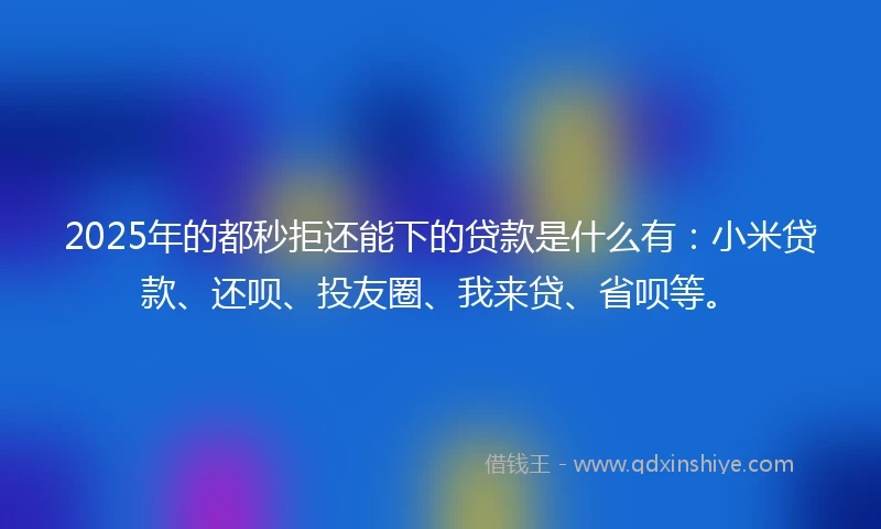 2025年的都秒拒还能下的贷款是什么有：小米贷款、还呗、投友圈、我来贷、省呗等。
