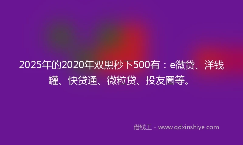 2025年的2020年双黑秒下500有：e微贷、洋钱罐、快贷通、微粒贷、投友圈等。