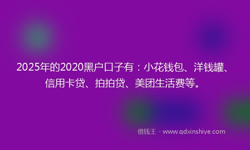 2025年的2020黑户口子有：小花钱包、洋钱罐、信用卡贷、拍拍贷、美团生活费等。