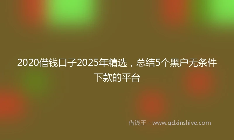 2020借钱口子2025年精选，总结5个黑户无条件下款的平台