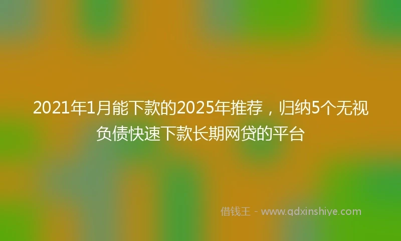 2021年1月能下款的2025年推荐，归纳5个无视负债快速下款长期网贷的平台