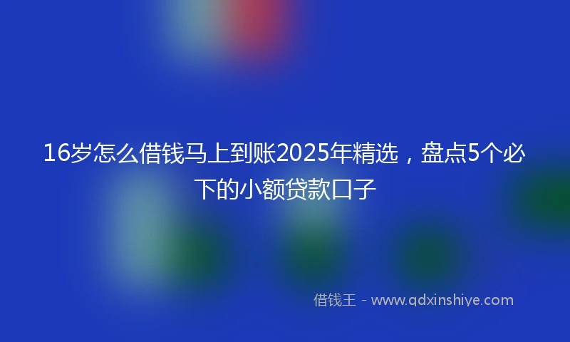 16岁怎么借钱马上到账2025年精选，盘点5个必下的小额贷款口子