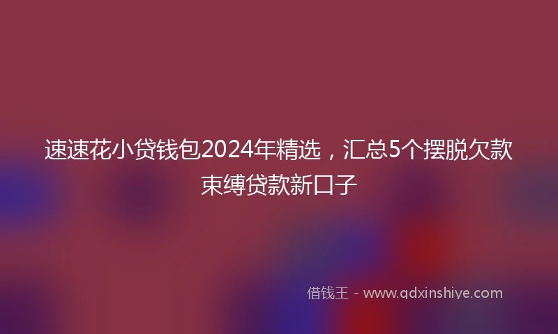 速速花小贷钱包2024年精选，汇总5个摆脱欠款束缚贷款新口子