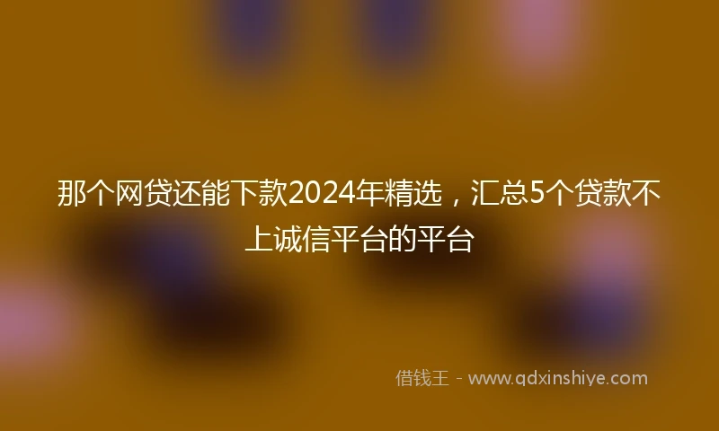 那个网贷还能下款2024年精选，汇总5个贷款不上诚信平台的平台