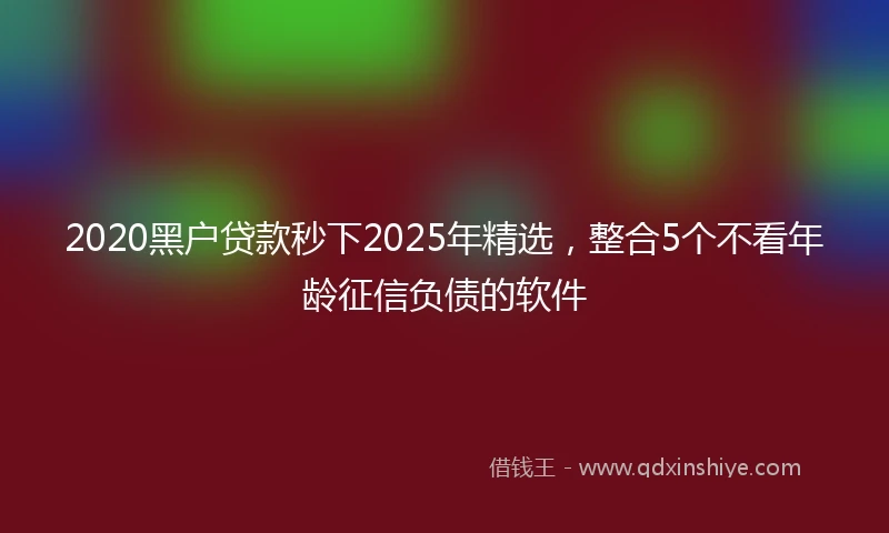 2020黑户贷款秒下2025年精选，整合5个不看年龄征信负债的软件