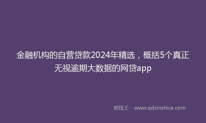 金融机构的自营贷款2024年精选，概括5个真正无视逾期大数据的网贷app