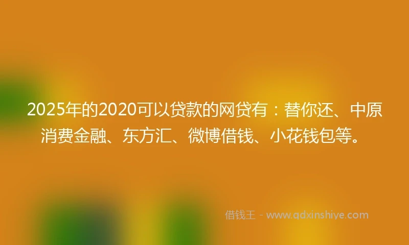 2025年的2020可以贷款的网贷有：替你还、中原消费金融、东方汇、微博借钱、小花钱包等。